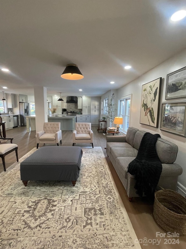 living room featuring hardwood / wood-style floors