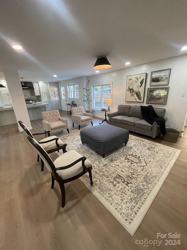 living room featuring wood-type flooring