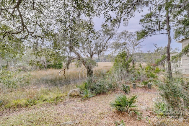 view of landscape