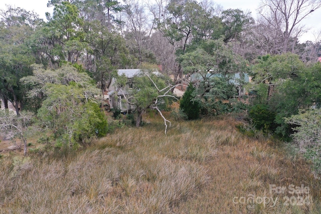 view of local wilderness