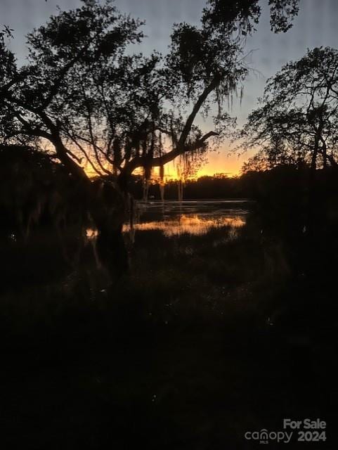 view of nature at dusk