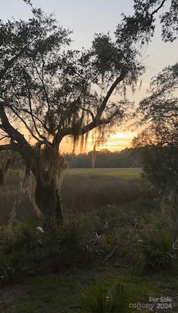 view of nature at dusk