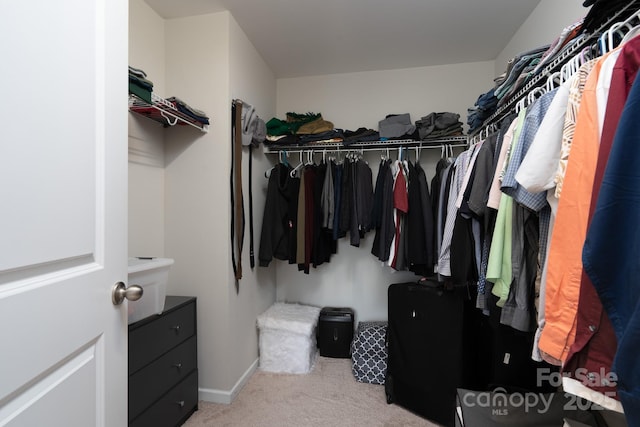 spacious closet featuring light colored carpet