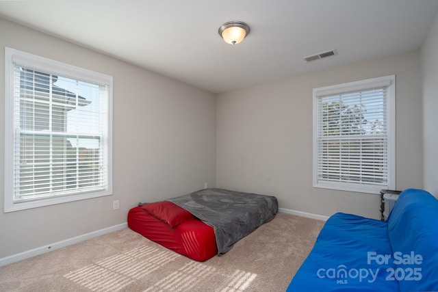 bedroom featuring multiple windows and carpet floors