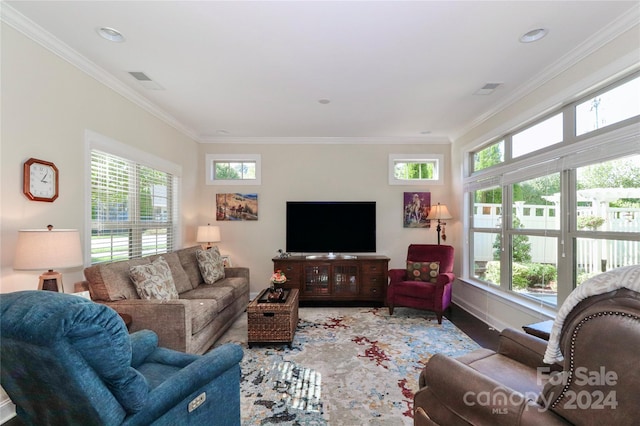 living room with ornamental molding and a healthy amount of sunlight