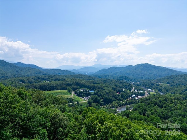 LOT26 Red Hawk Blf, Sylva, NC 28779