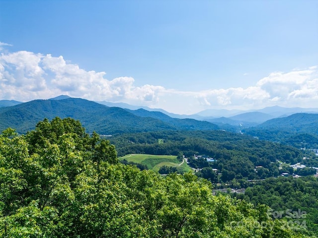 Listing photo 3 for LOT26 Red Hawk Blf, Sylva NC 28779