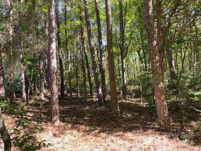 6045C Campbell Rd, York, SC 29745 - photo 4