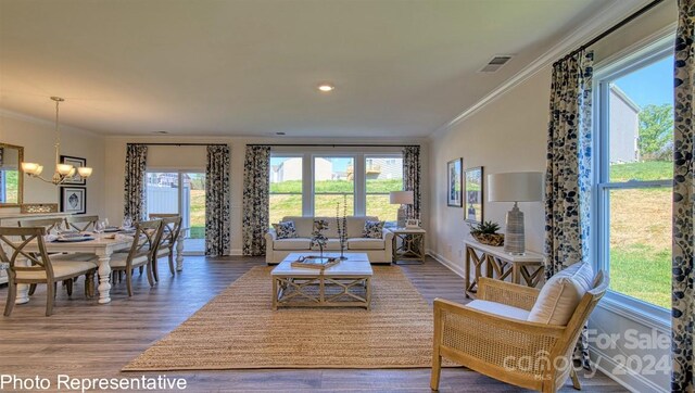 living room featuring wood-type flooring, an inviting chandelier, crown molding, and a healthy amount of sunlight