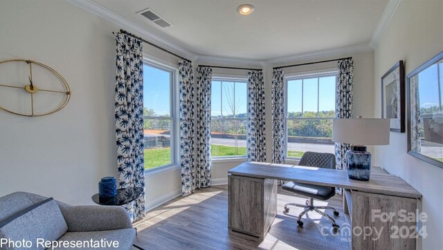 office space with hardwood / wood-style flooring, crown molding, and a wealth of natural light