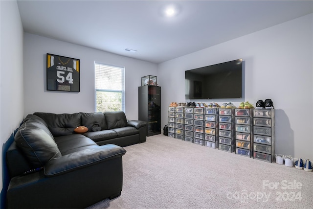 living room with carpet flooring