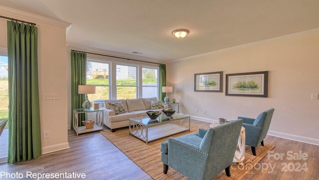 living room with wood-type flooring and crown molding