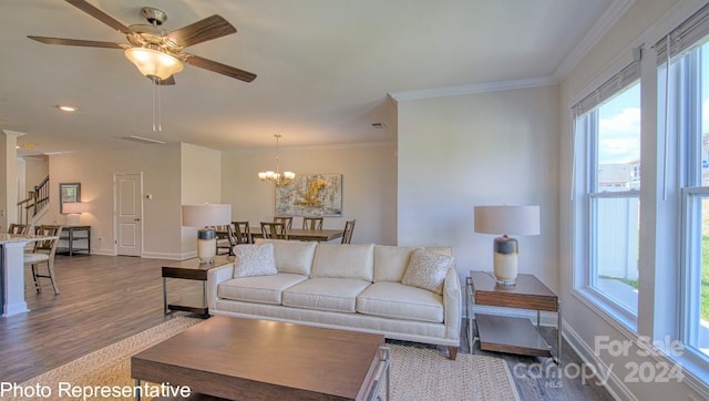 living room featuring ceiling fan with notable chandelier, crown molding, and dark wood-type flooring