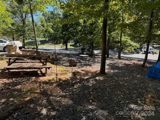201 Deer Park Rd, Mount Gilead, NC 27306 - view of property's community featuring view of scattered trees