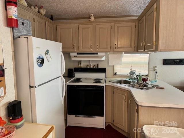 201 Deer Park Rd, Mount Gilead, NC 27306 - kitchen with white appliances, under cabinet range hood, and light countertops