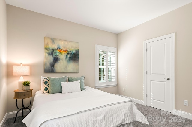 bedroom featuring carpet flooring