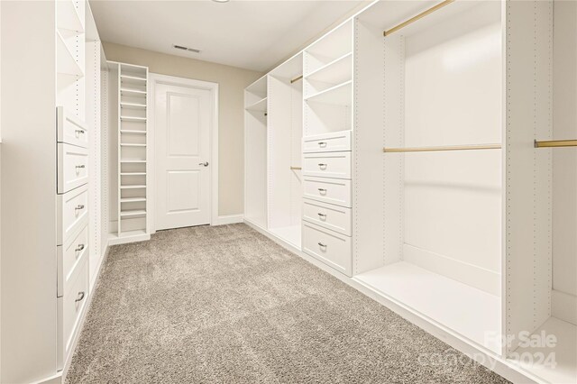 walk in closet with light carpet