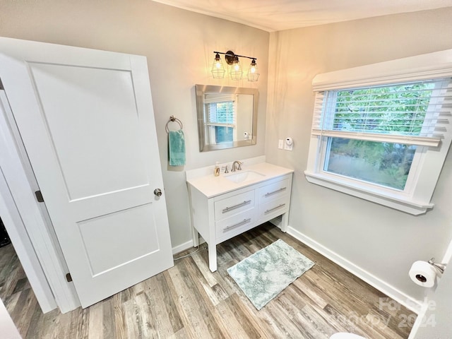 bathroom featuring wood-type flooring and vanity