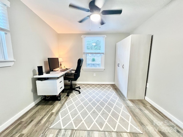 office area featuring light hardwood / wood-style floors and ceiling fan