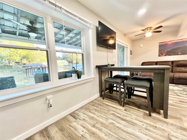 bar featuring ceiling fan and light wood-type flooring