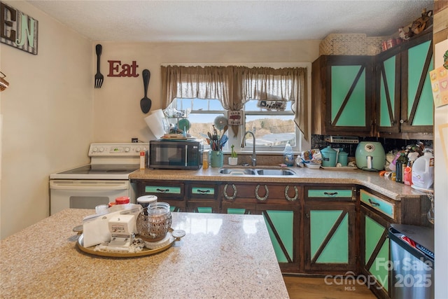 kitchen with sink, dark brown cabinets, a textured ceiling, and white electric range oven