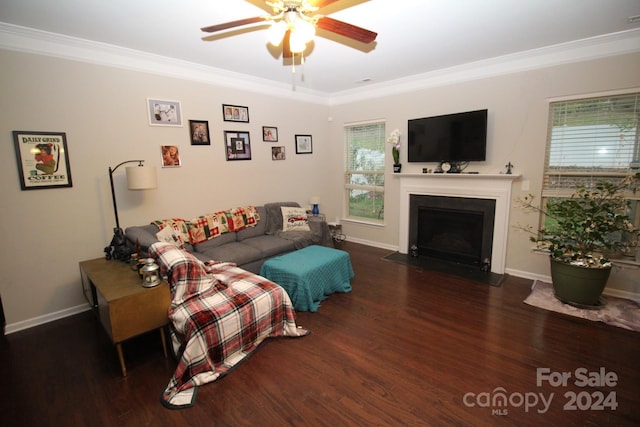 living room with crown molding, ceiling fan, and dark hardwood / wood-style flooring