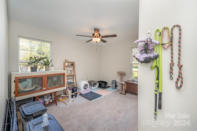 interior space with carpet floors, a ceiling fan, a textured ceiling, and a wealth of natural light