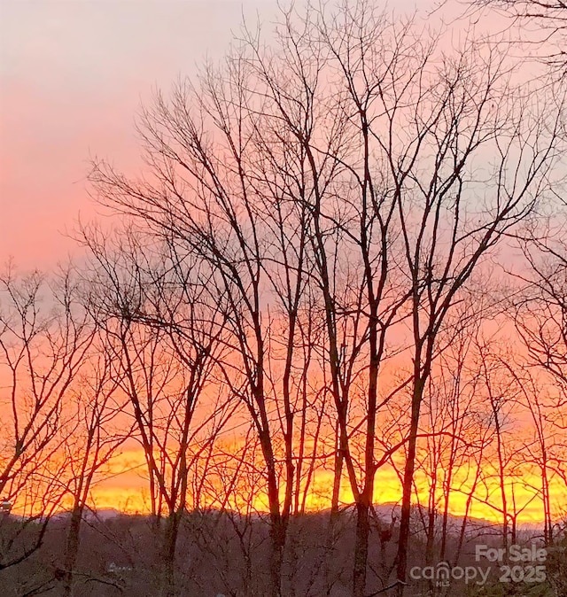 view of nature at dusk