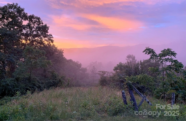 nature at dusk with a mountain view