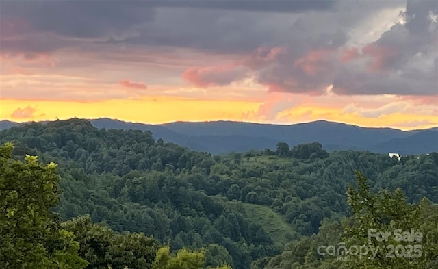 view of mountain feature