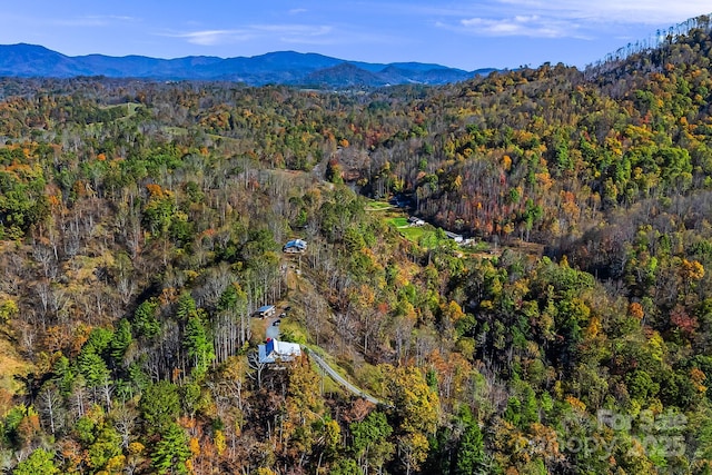 birds eye view of property featuring a mountain view