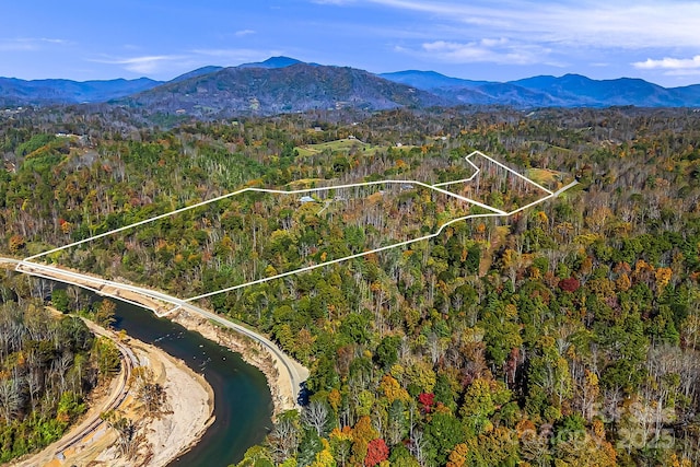 birds eye view of property featuring a water and mountain view