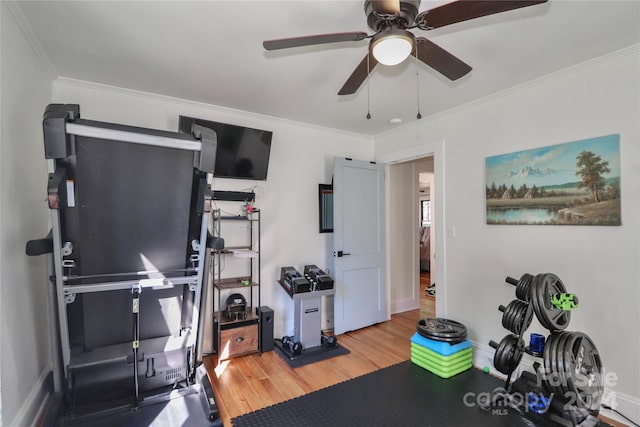 exercise room featuring ornamental molding, wood-type flooring, and ceiling fan