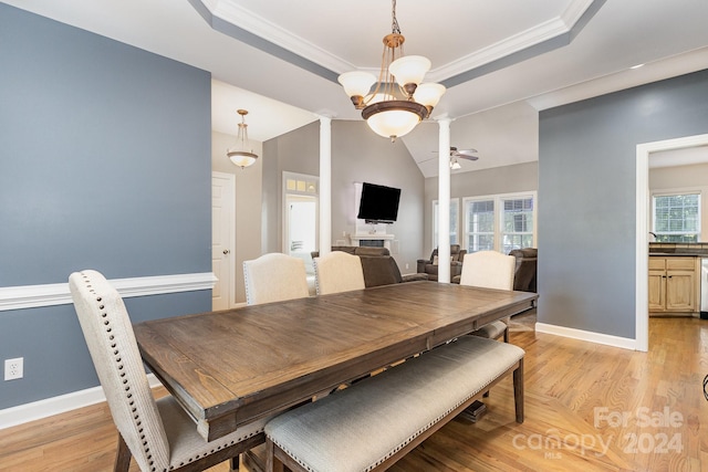 dining area with crown molding, light hardwood / wood-style flooring, ceiling fan with notable chandelier, and a raised ceiling