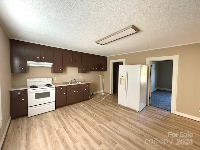 kitchen featuring light wood-type flooring, dark brown cabinetry, white appliances, and sink