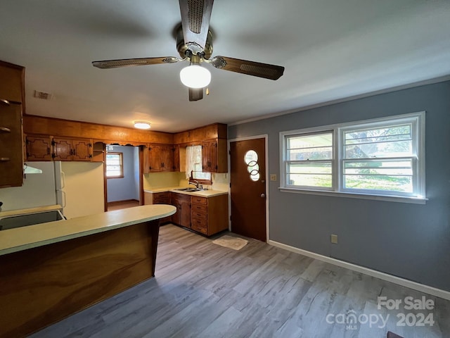 kitchen with ceiling fan, white refrigerator, sink, light hardwood / wood-style flooring, and range