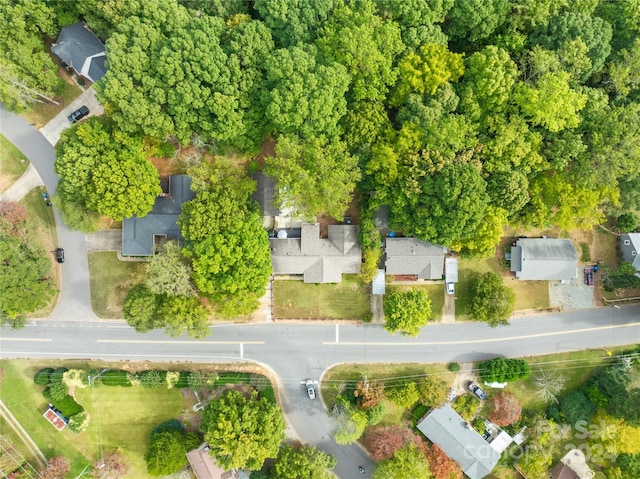 bird's eye view