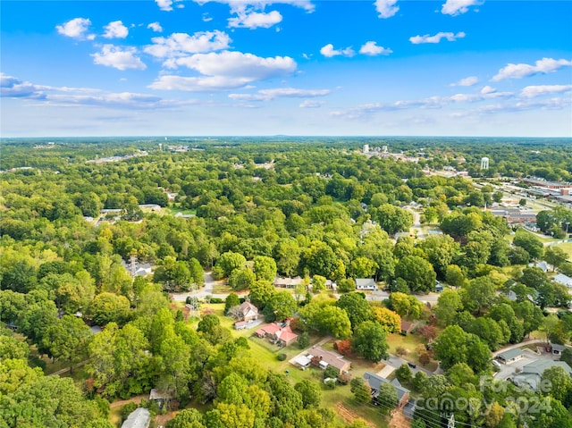 bird's eye view