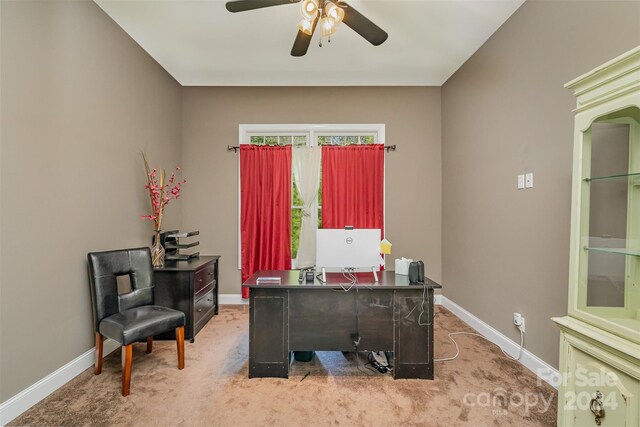 office space featuring ceiling fan and carpet