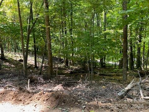 LOTG42 Odalu Trl Unit G42, Maggie Valley, NC 28751 - photo 2