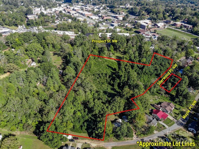 000 Sherwood Pl NW, Lenoir, NC 28645 - photo 4