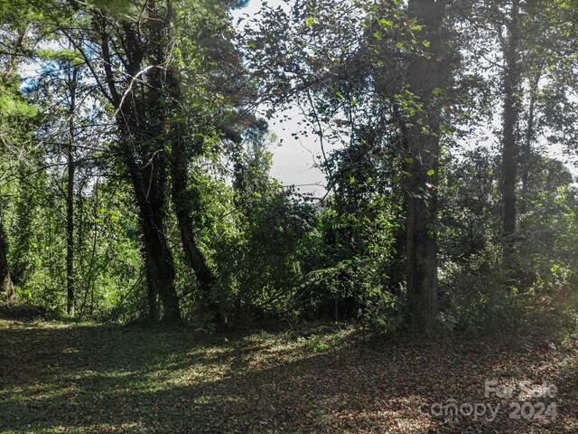 000 Sherwood Pl NW, Lenoir, NC 28645 - photo 20