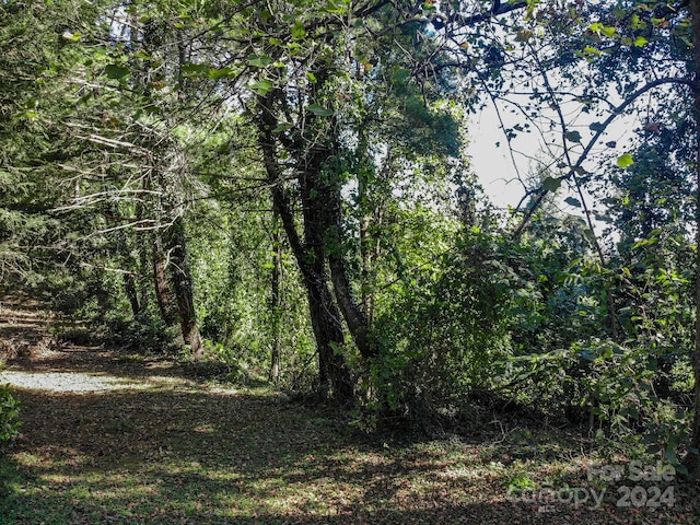 000 Sherwood Pl NW, Lenoir, NC 28645 - photo 21