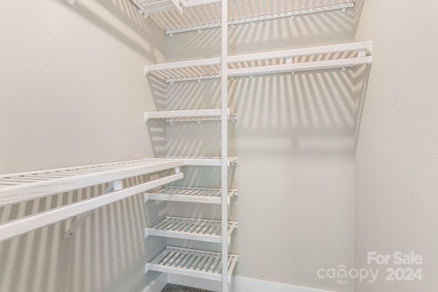 30 Wheeler Rd, Weaverville, NC 28787 - view of walk in closet