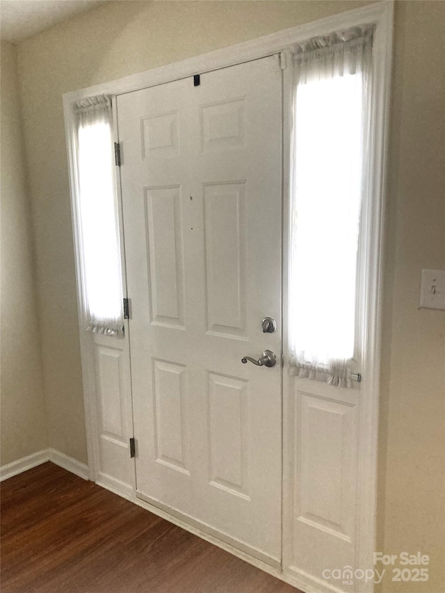 entryway featuring plenty of natural light and dark wood-type flooring