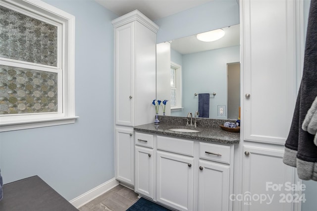 bathroom with a wealth of natural light and vanity