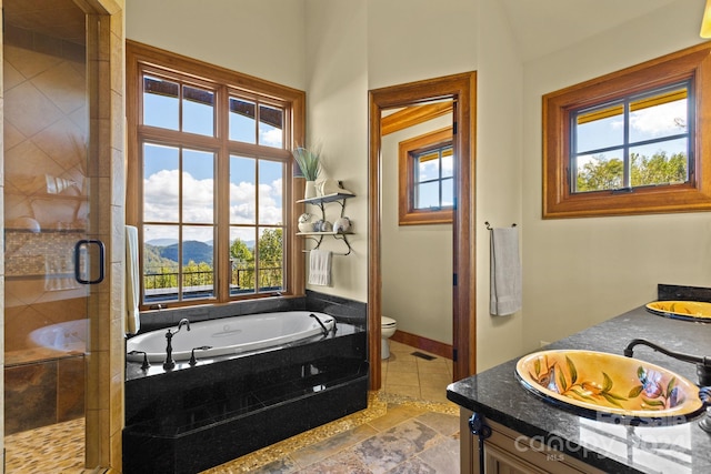 full bathroom featuring a wealth of natural light, separate shower and tub, toilet, and vanity