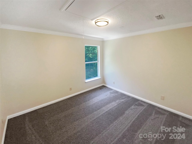 spare room featuring ornamental molding, carpet, and a textured ceiling