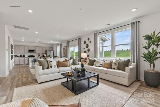 living room with hardwood / wood-style flooring and plenty of natural light