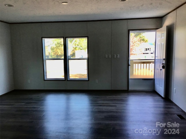 spare room featuring dark wood-type flooring, crown molding, and plenty of natural light